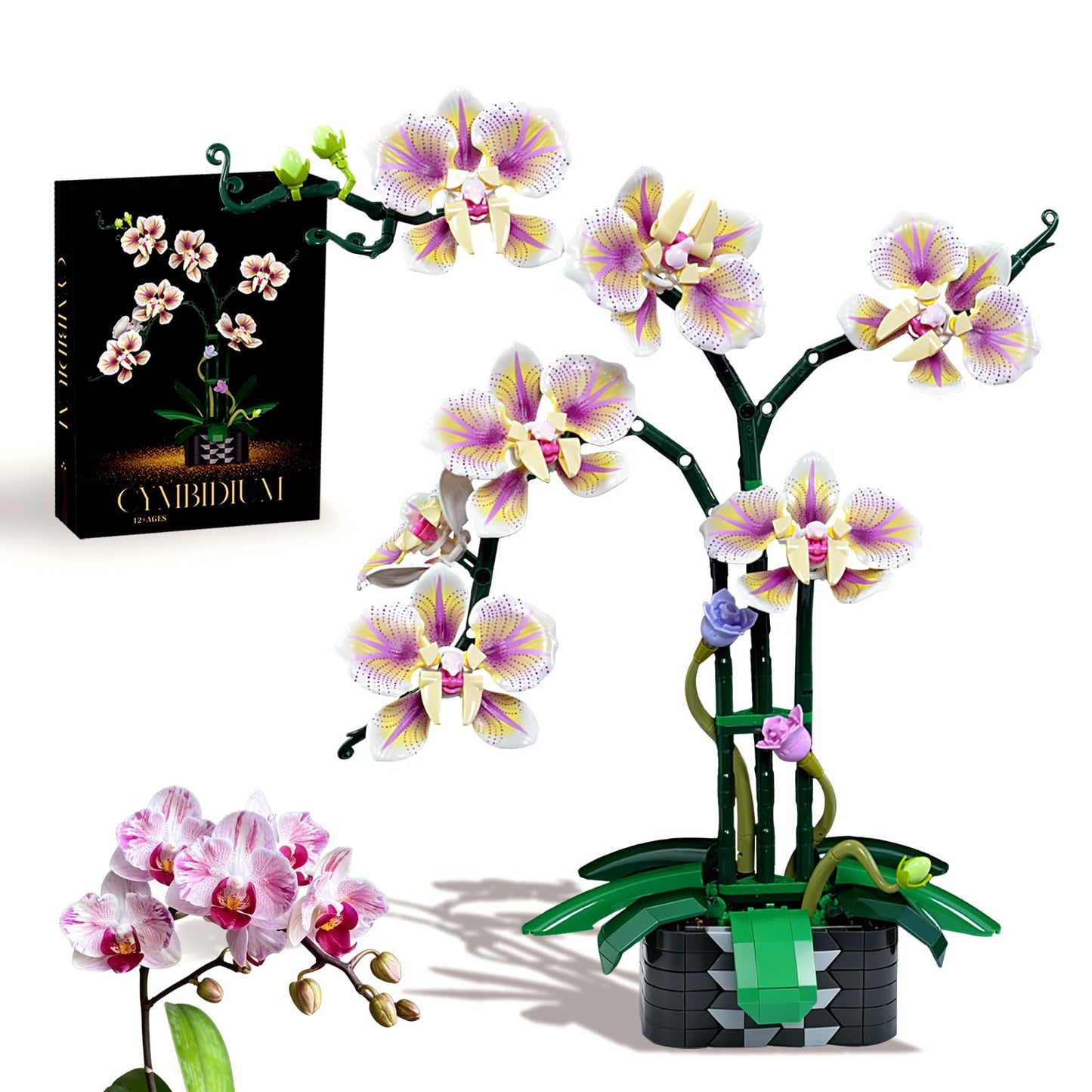 Orchid Flower Building Block Set,Compatible with Lego Flower Featuring Printed Floral Patterns on The Blocks' Petals, Ideal for Tabletop displays