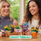 MAX Premium Garden Pot Plants Building Bricks Collection (up to 233 Pieces, 6 to Collect). (Cosmos Sulphureus, 1 Capsule)