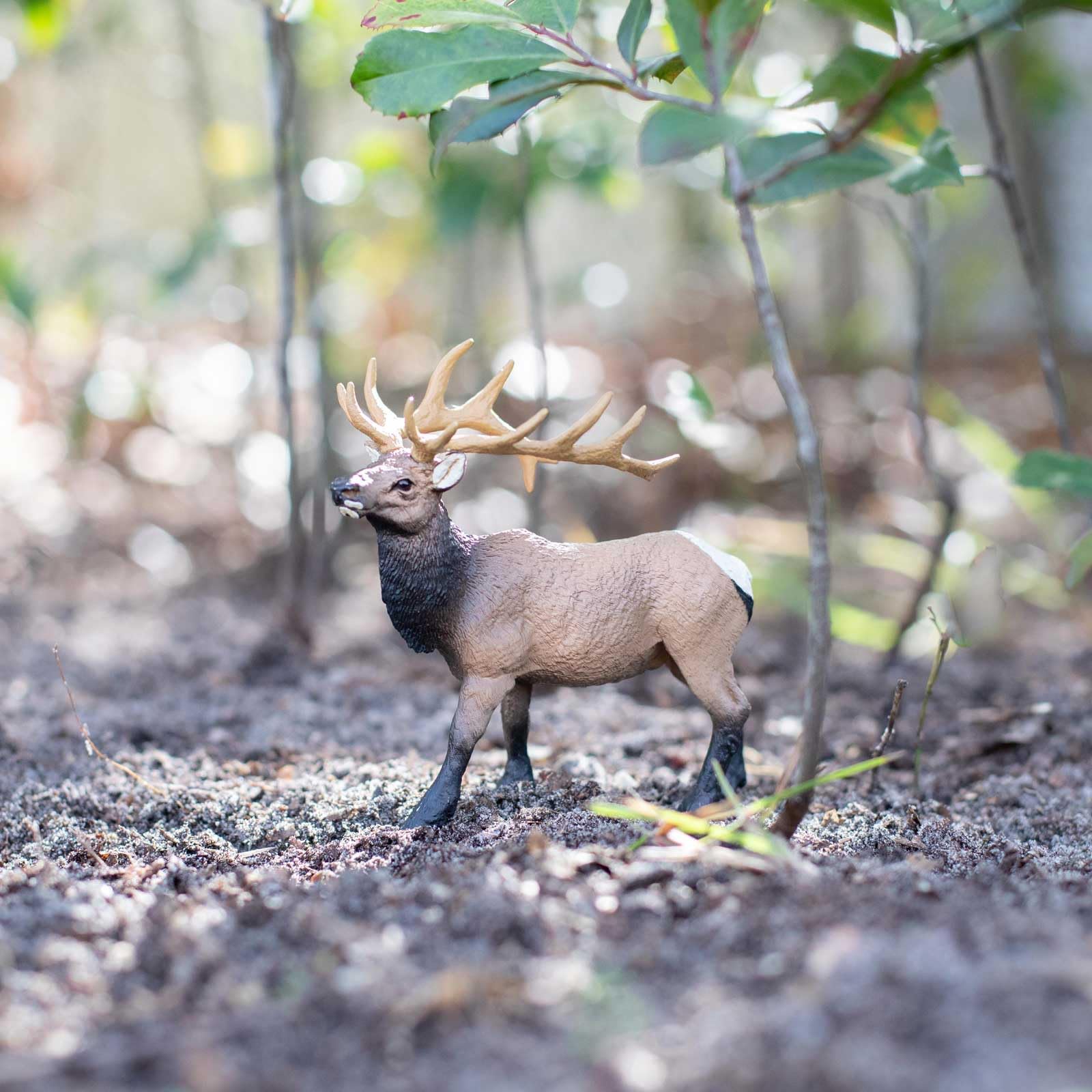 Safari Ltd. Elk Bull Figurine - Detailed 4.75" Plastic Model Figure - Fun Educational Play Toy for Boys, Girls & Kids Ages 3+
