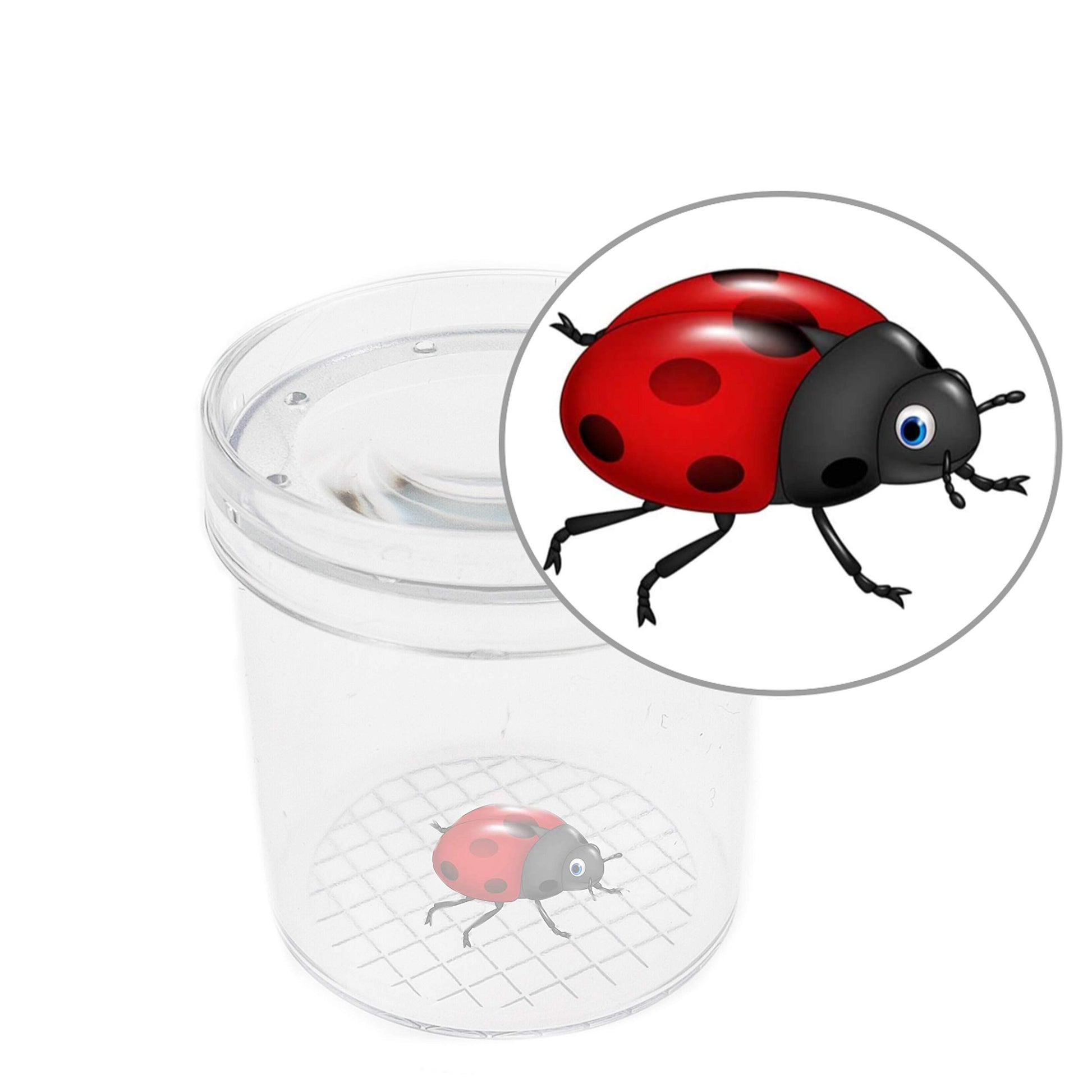 SimpleSS 8 Pieces Bug Viewer Critter Insect Cage Magnifying Insect Box Bug Magnifier Container Bug Catcher Cage, Science Nature Exploration Tools