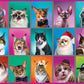 White Mountain 500 Piece Jigsaw Puzzle Funny Collage Cats, Cat Portraits