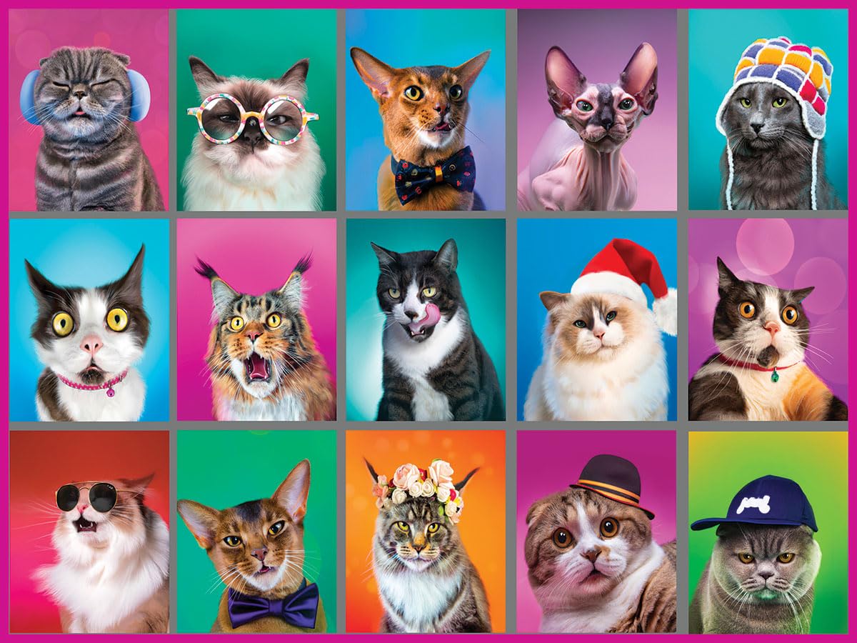 White Mountain 500 Piece Jigsaw Puzzle Funny Collage Cats, Cat Portraits