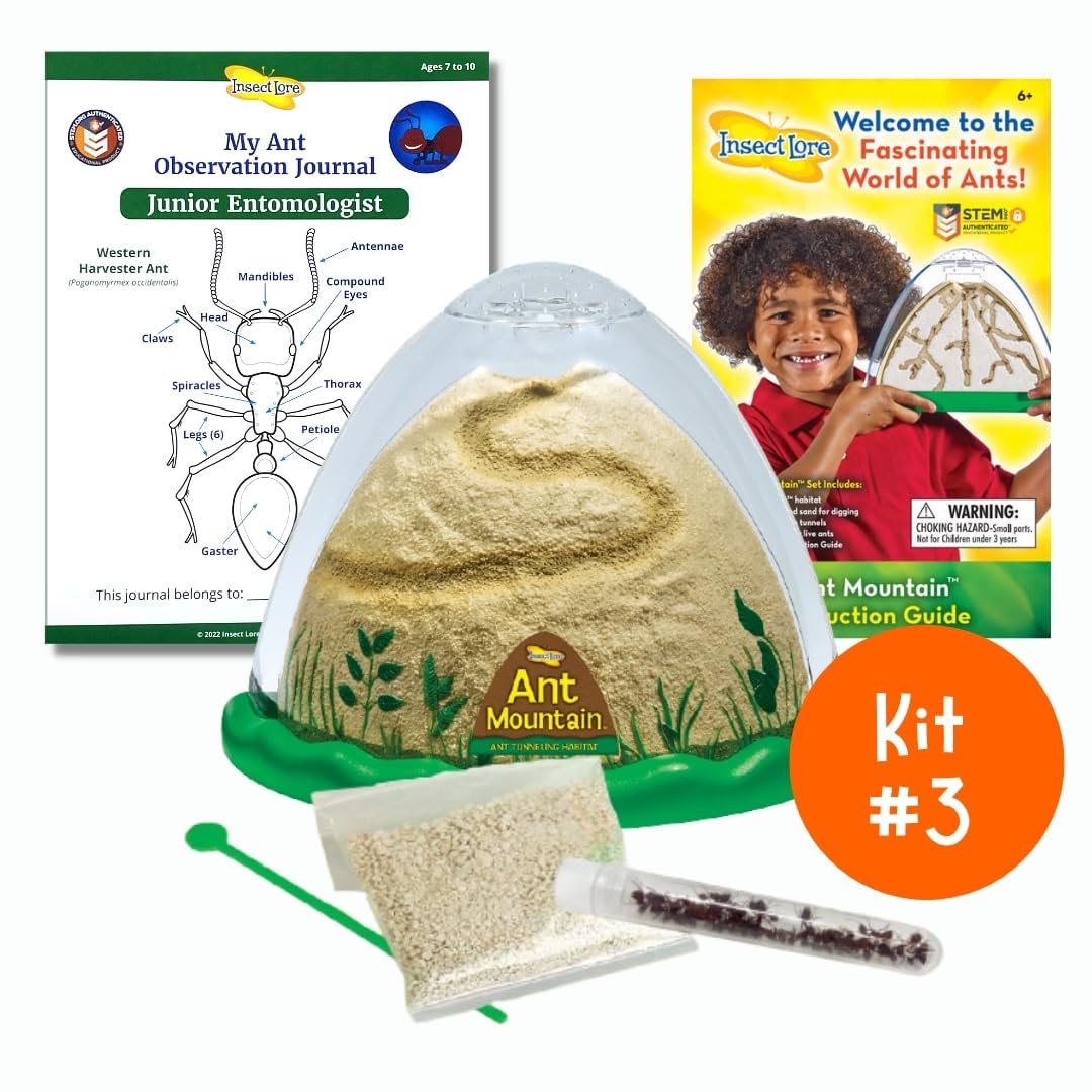 Insect Lore Bug Camp Bundle - Butterfly Kit with 5 Live Caterpillars, Ladybug Land with 1 Tube Live Larvae, Ant Mountain with 1 Tube Live Western