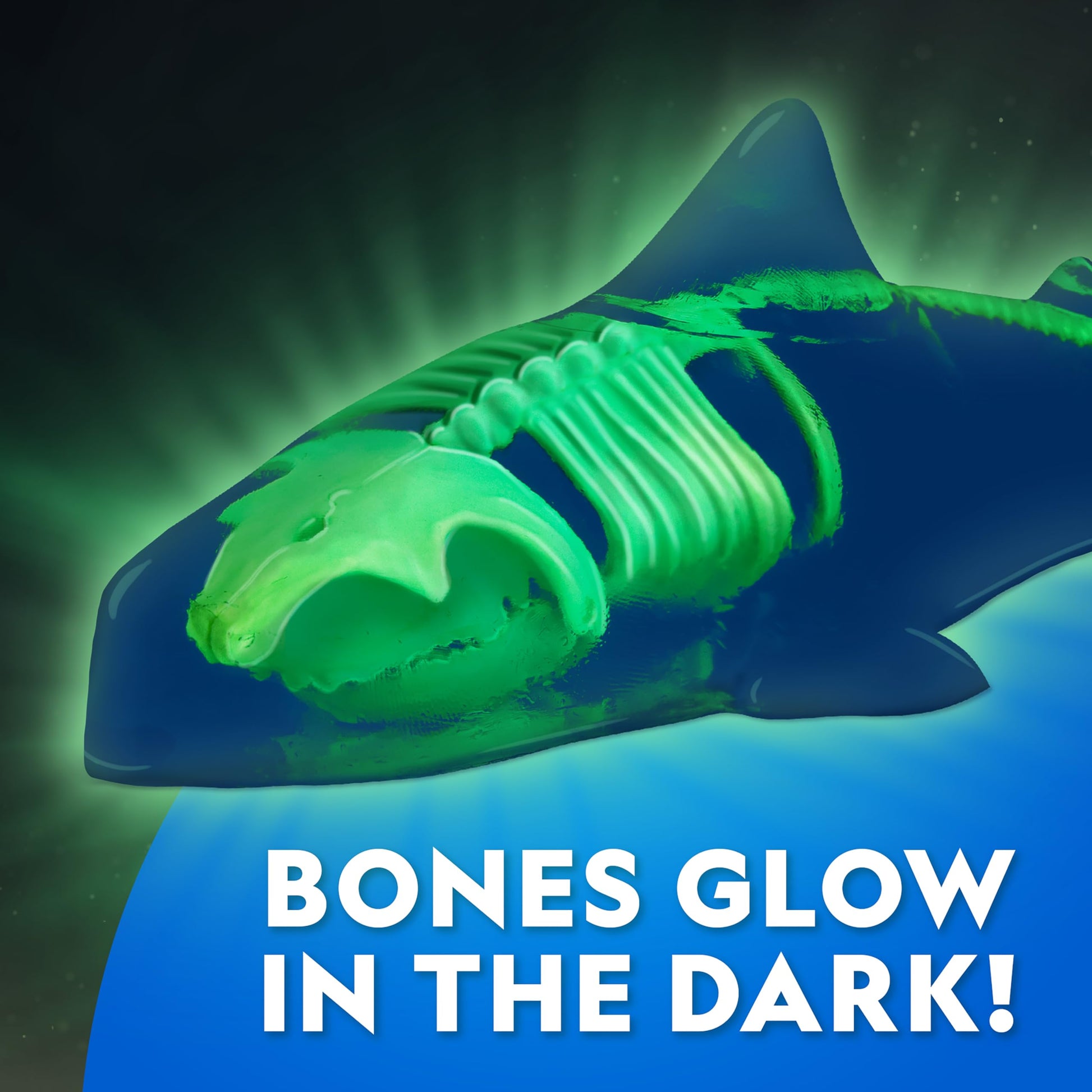 National Geographic Glow-in-the-Dark Shark Dissection Kit for Kids