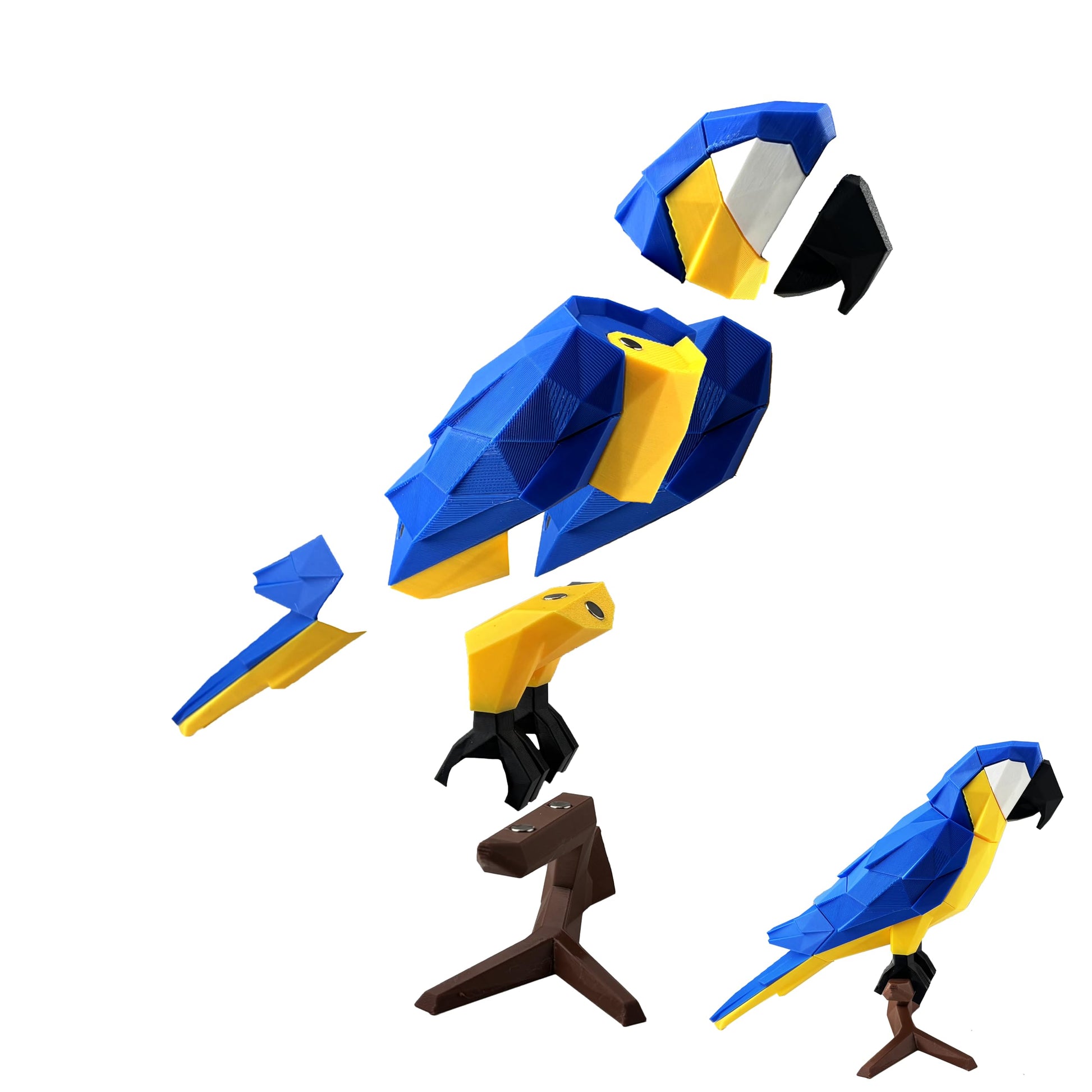 3D Magnetic Puzzle,Magnetic Animal Puzzle Toys for Adult,ParrotModel Collectible Novelty Desk Decor Toy
