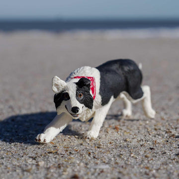 Safari Ltd. Border Collie Figurine - Detailed 5" Plastic Model Figure - Fun Educational Play Toy for Boys, Girls & Kids Ages 3+