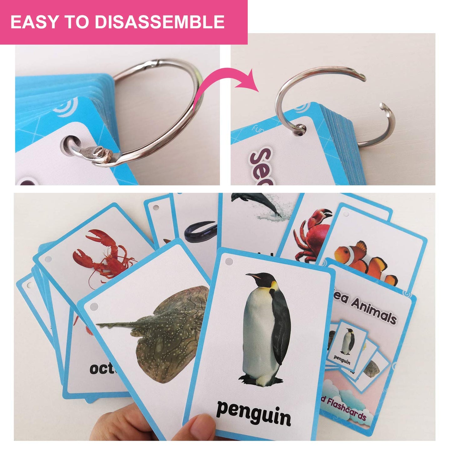 20PCS/Set Sea Animals Kids Gifts English Flash Cards Pocket Card Educational Learning Baby Toys for Children Pre-Kindergarten