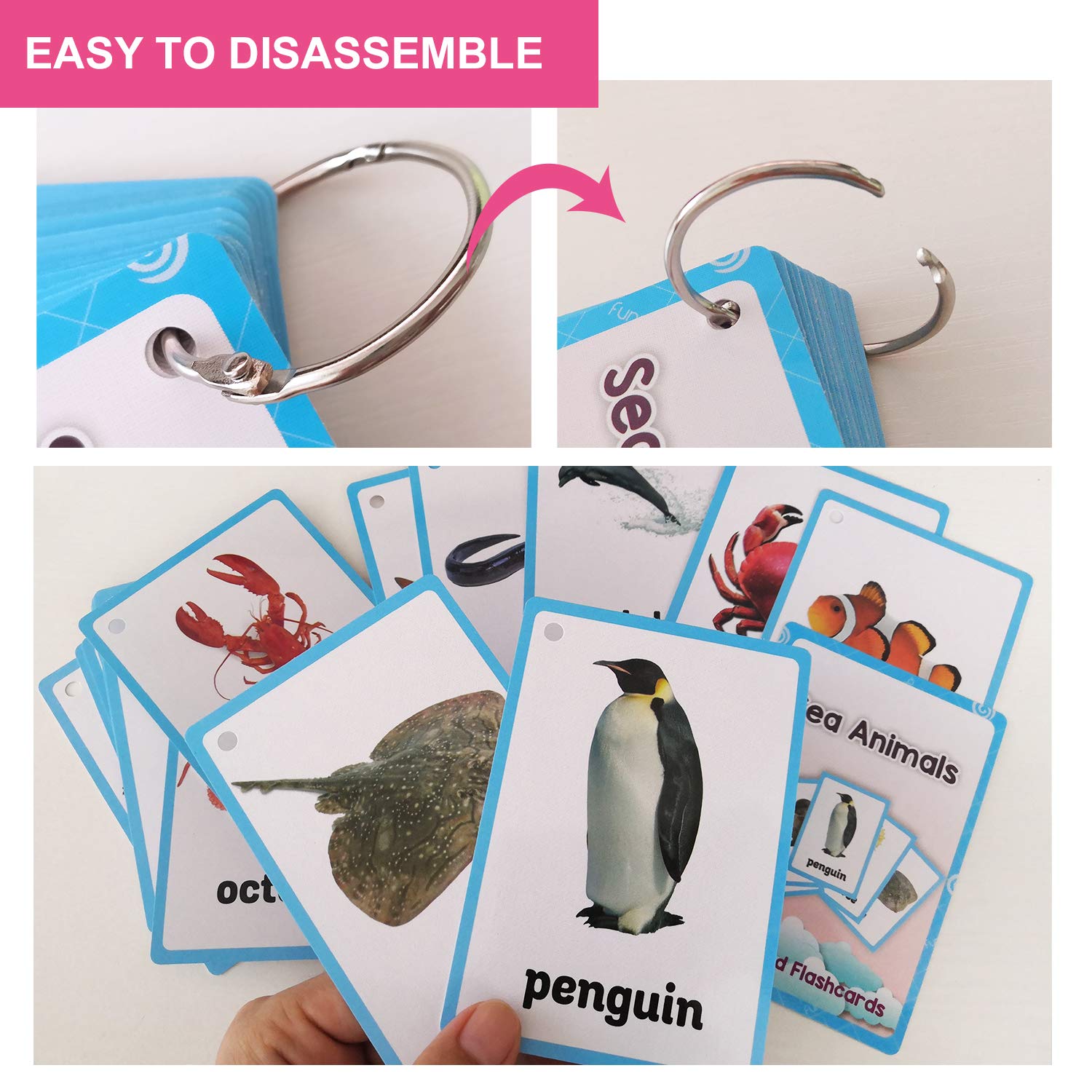 20PCS/Set Sea Animals Kids Gifts English Flash Cards Pocket Card Educational Learning Baby Toys for Children Pre-Kindergarten