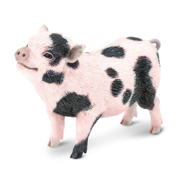 Safari Ltd. Pot-Bellied Pig Figurine - Detailed 5.25" Model Figure - Educational Toy for Boys, Girls, and Kids Ages 18M+