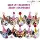 Bessmoso Cat Party Decorations Cat Birthday Banner Meow Letter Balloons Cat Happy Birthday Banner Garland Sign for Photo Props Cat Birthday