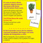 Trend Enterprises: Bilingual Around-The-Home Picture Words Skill Drill Flash Cards, Photos & Words, Exciting Way for All to Learn English and Espanol