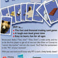 Big Game Toys~Pit Card Game with Free BGT Sticker