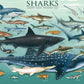 EuroGraphics Sharks 1000 Piece Puzzle , Blue