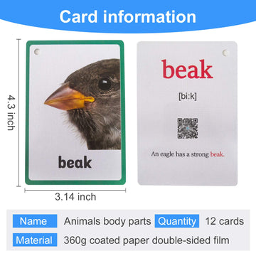 Zwttey 12PCS/Set Animals Body Parts Kids Gifts English Flash Cards Pocket Card Educational Learning Baby Toys for Children Pre-Kindergarten