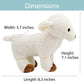 Kulumi My Little Lamb - Singing Lamb w/Audio Bible, Stories and Songs (3+), Musical Stuffed Animal for Baby - Christian Toy for Children to Help Sleep