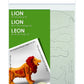 Trussart Designs TruTru Animals Lion 3D European Puzzle Kit ; Arts and Crafts, Model Kit