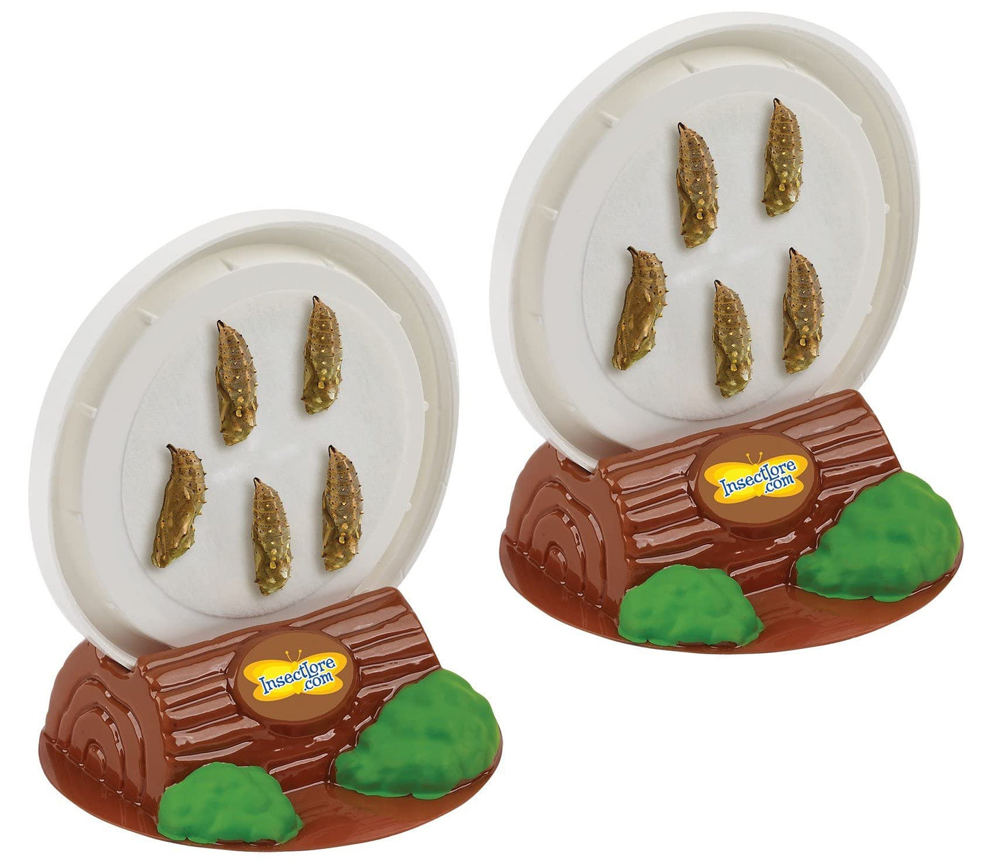 Insect Lore Two Cups of Live Caterpillars - 10 Live Painted Lady Caterpillars with Food - Includes Bonus Butterfly Life Cycle Figurines - Refill