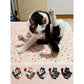 MOC Licking Butt Cat Building Block Set, Compatible with Lego 853792 Accessory, Black, Calico, Siamese Cow Cat, Funny Gift for Animal Lovers, Cat