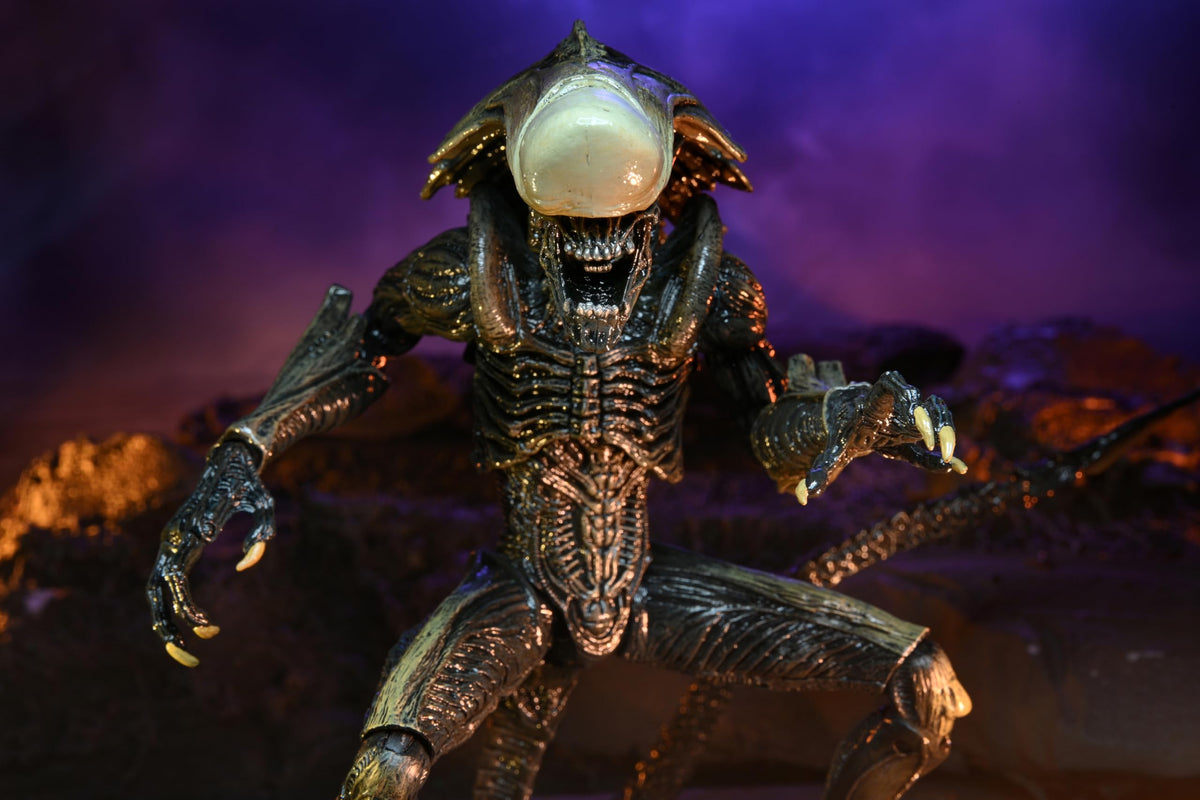 NECA Collectible Alien Vs Predator Game Movie Ultimate 9" Action Figure - Chrysalis Alien