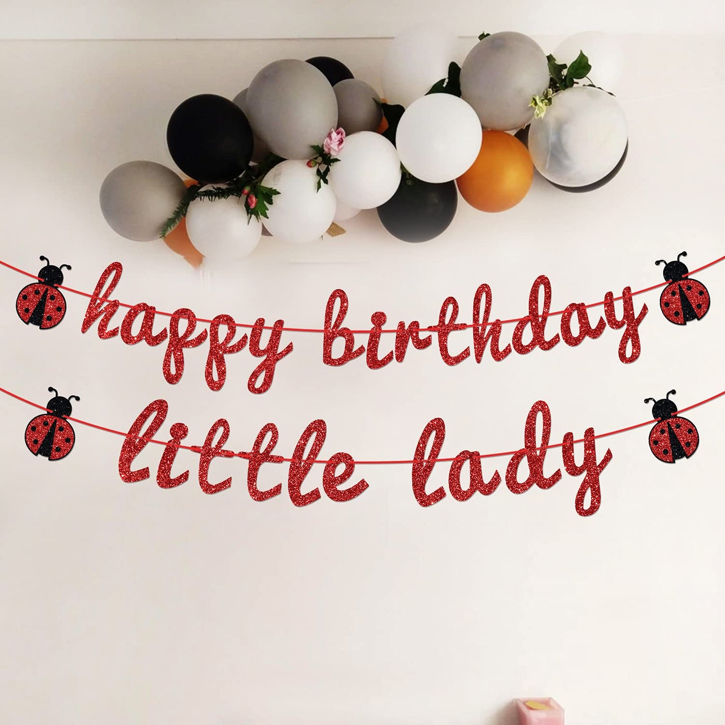 Ladybug Theme Happy Birthday Little Lady Banner - Girl's Baby Shower/Birthday Party Backdrops- Baby's 1st/2nd/3rd Barthday Decorations Supplies
