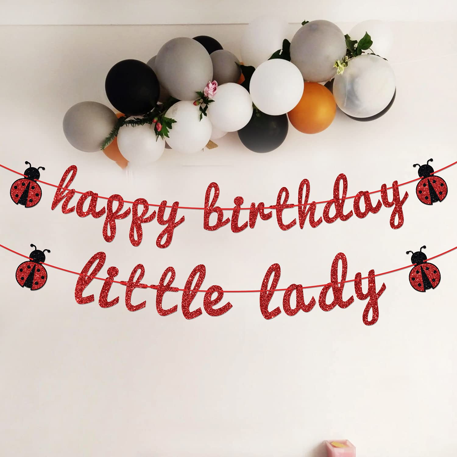 Ladybug Theme Happy Birthday Little Lady Banner - Girl's Baby Shower/Birthday Party Backdrops- Baby's 1st/2nd/3rd Barthday Decorations Supplies