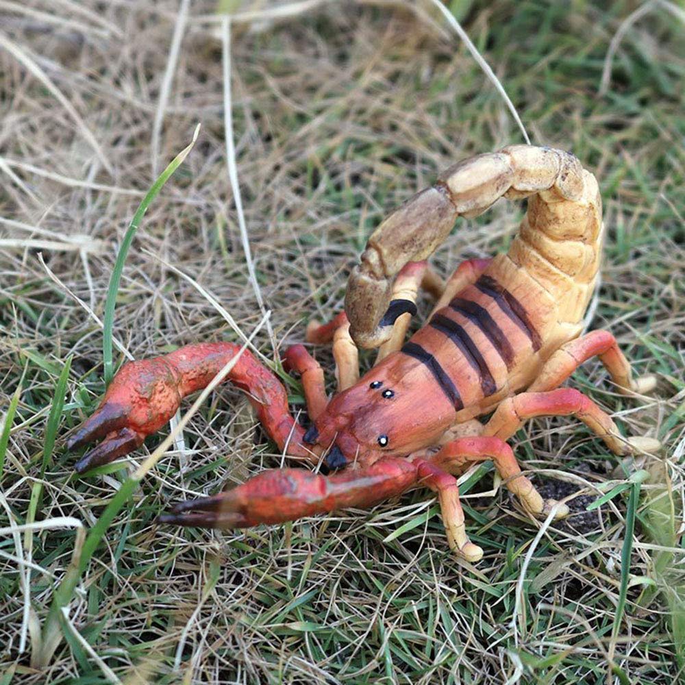 FLORMOON Animal Figures Realistic Scorpion Plastic Early Educational Toys Cupcake Topper Party Gift for Kids 2+ Year Old