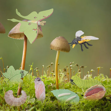 BRETOYIN Life Cycle of a Luna Moth and Bee - 8PCS Lifecycle Set Miniature Insect Lifecycle Collection Realistic Moth Family Educational Toy Figurines