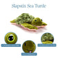 The Petting Zoo Sea Turtle Stuffed Animal Plushie Slap Bracelet, Gifts for Kids, Slapstix Sealife Animals, Green Sea Turtle Plush Toy 10 Inches