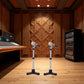 2Pcs Black 1/12 Dollhouse Miniature Accessories,Metal Microphone with Stand, Dollhouse Microphone Music Room Recording Room Studio Decoration Present