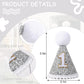 TERJIO Baby's Cone Silvery 1st birthday Crown - Natural Boho 1st/First Birthday Decorations,1st Birthday Hat, Cake Smash Photo Prop. (Silver Boho