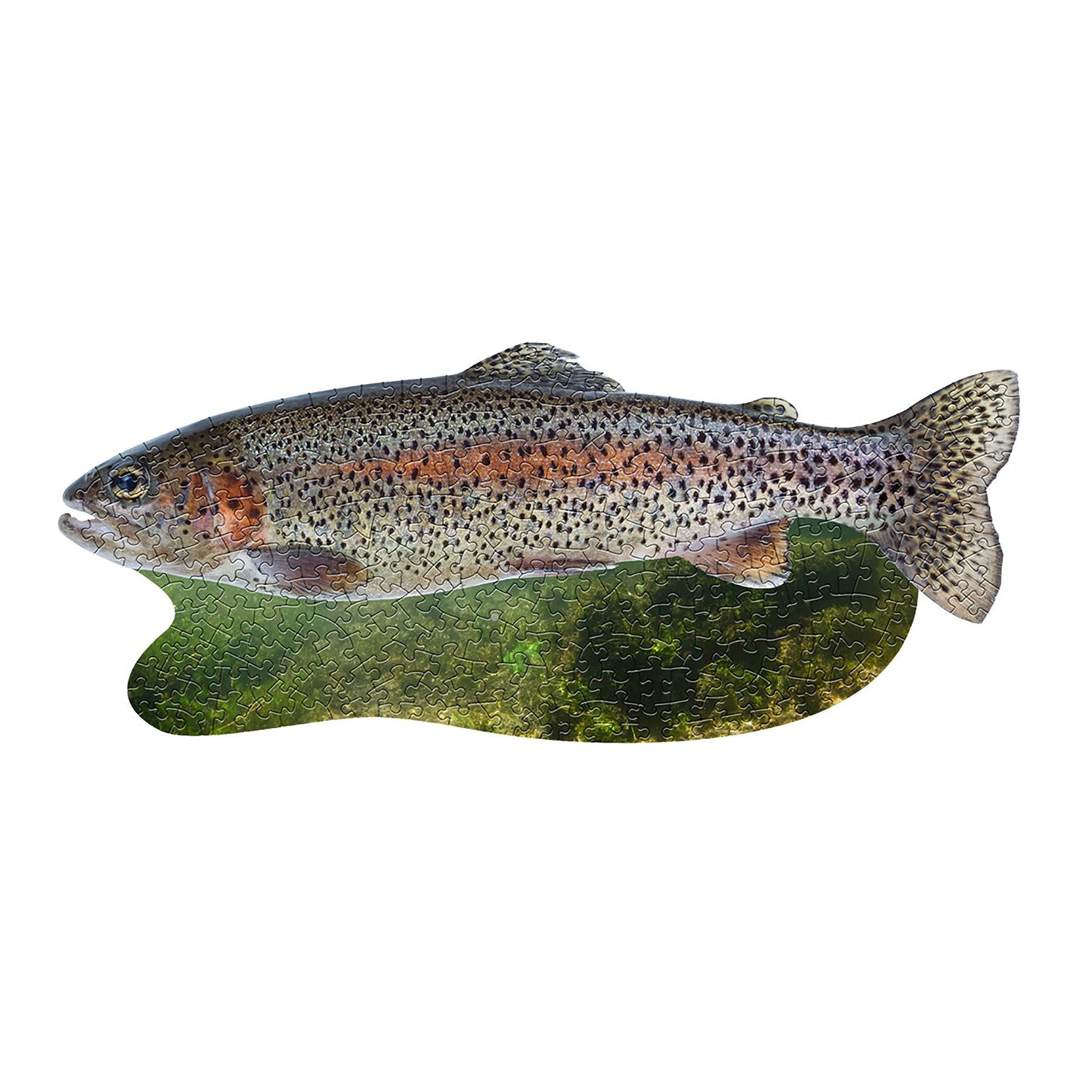 Madd Capp: I AM Trout - 300 Piece Jigsaw Puzzle- Fish-Shaped Puzzle, 28x12 Finished Size, Includes Fun Facts Booklet