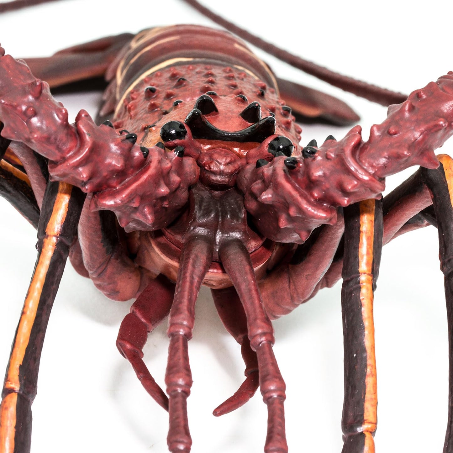 Safari Ltd. Spiny Lobster Figurine - Hand-Painted, Lifelike Model Figure 12.5" - Fun Educational Marine Animal Toy for Boys, Girls & Kids Ages 3+