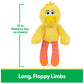 GUND Sesame Street Big Bird Take Along Buddy 13-Inch Plush Toy for Ages 1+