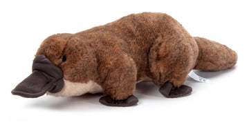 The Petting Zoo Platypus Plushie Stuffed Animal, Gifts for Kids, Wild Onez Wildlife Animals, Platypus Plush Toy, 12 inches