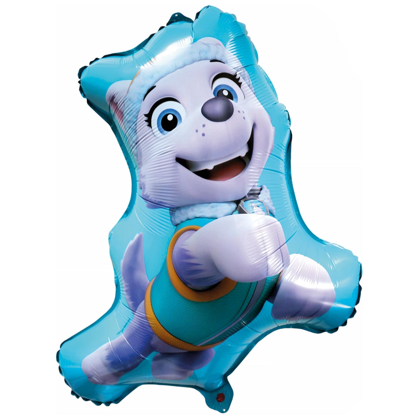 Paw Patrol Skye Everest Girl Birthday Party Supplies Balloons Decorations