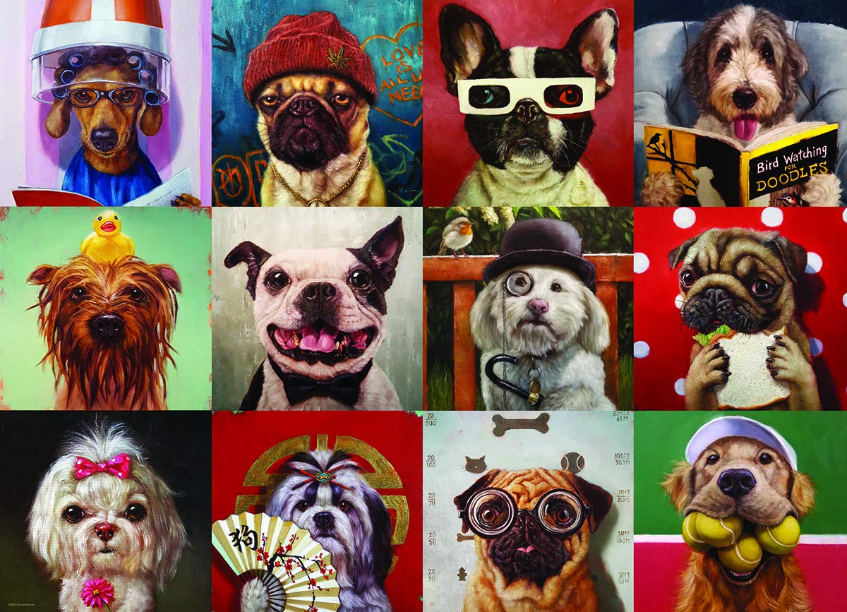 Funny Dogs by Lucia Heffernan