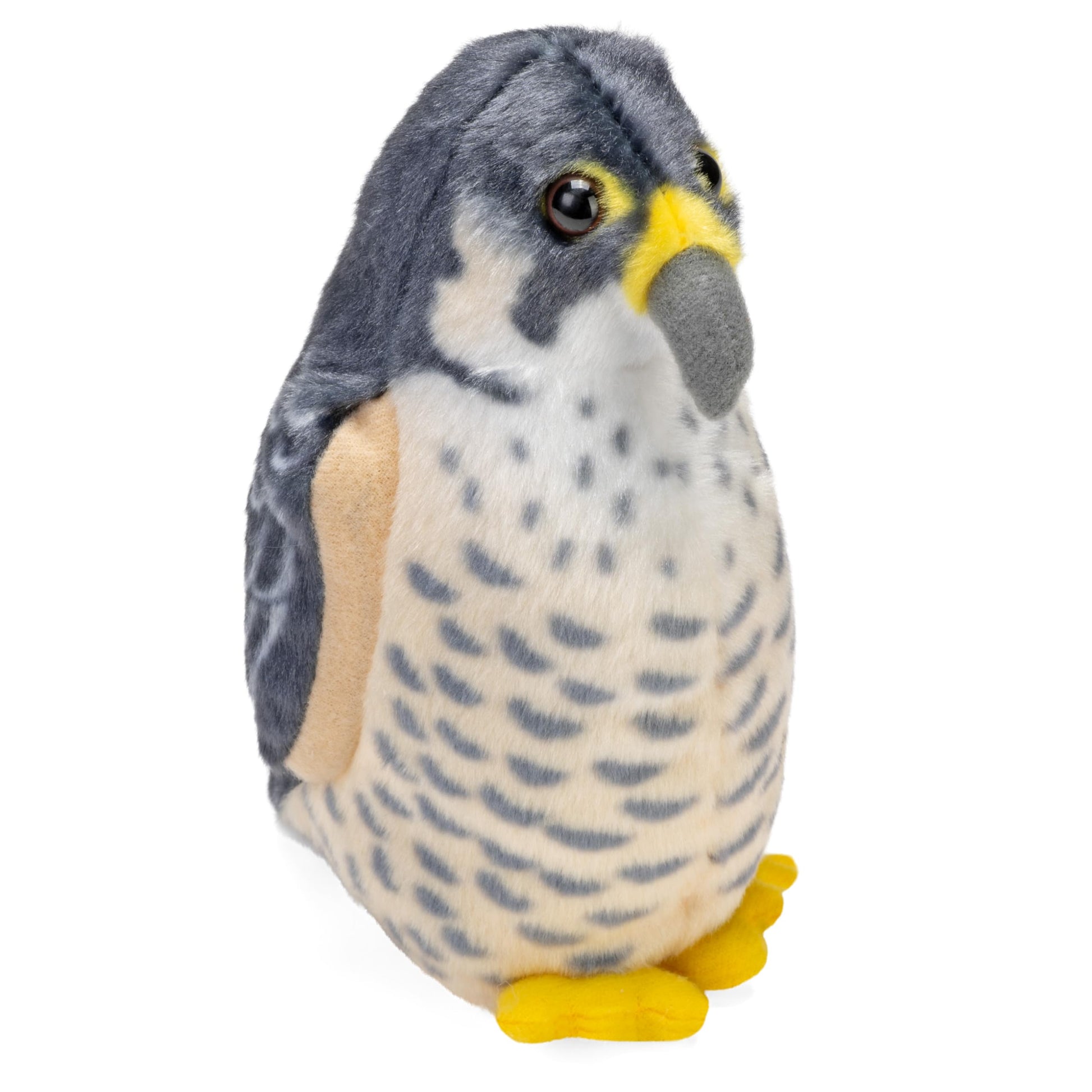 AUD II PEREGRINE FALCON (4/96)
