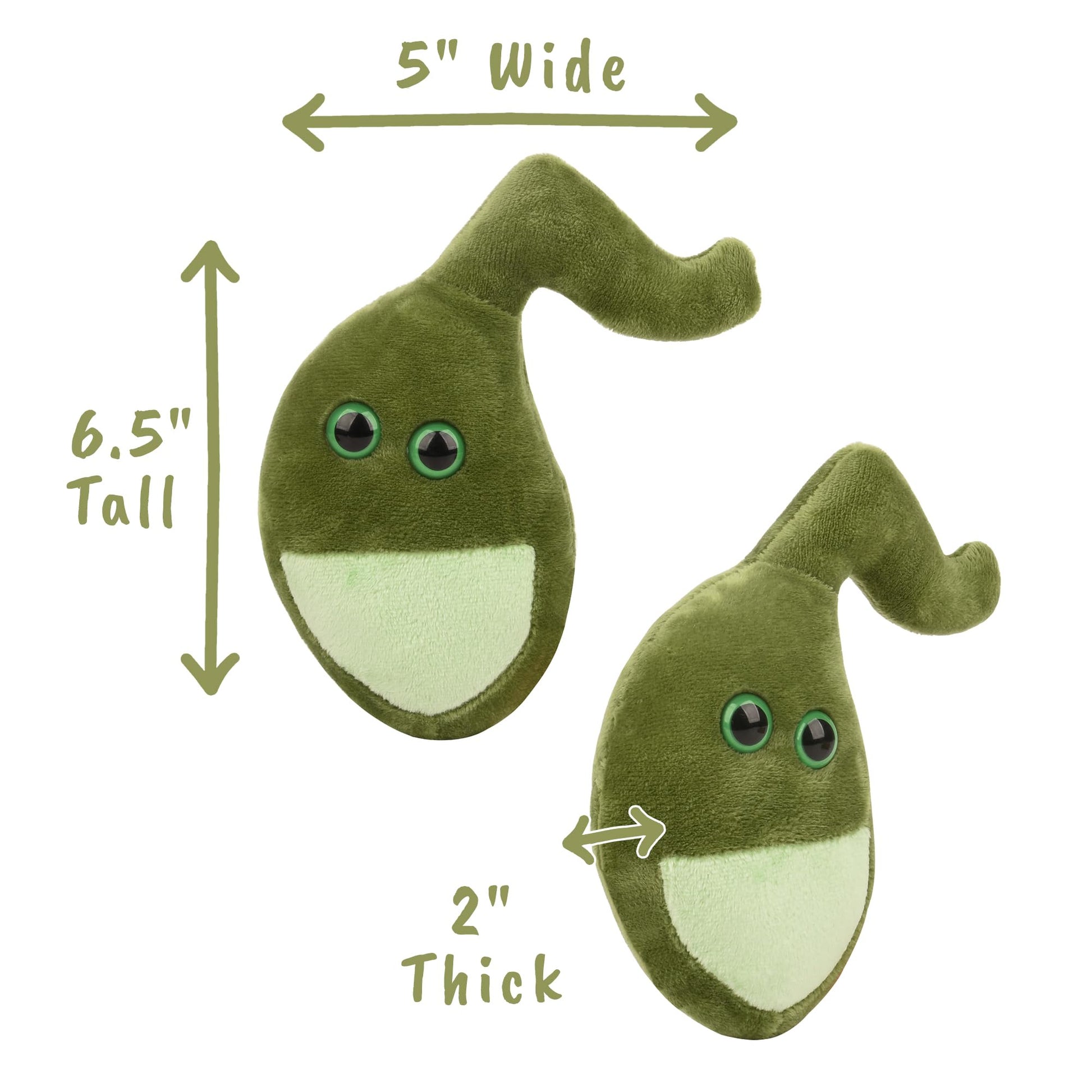 GIANT MICROBES Gallbladder Plush - Anatomy Gift, Medical Student Gifts
