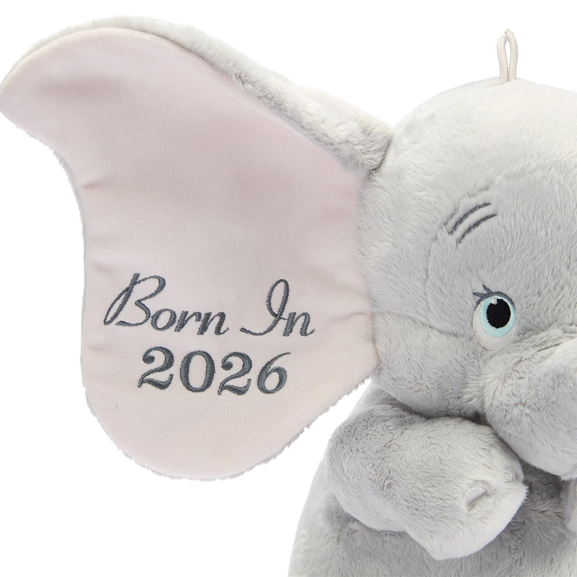 Disney Store Official My First Dumbo 2026 Plush - Stuffed Animals for Babies with Embroidered Features & Detailed Sculpting - Super Soft & Huggable
