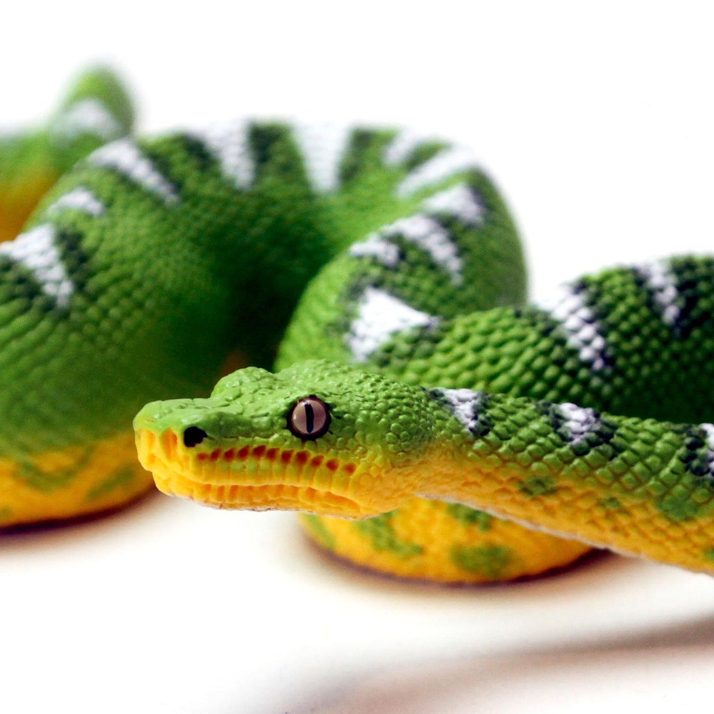 Safari Ltd. Emerald Tree Boa Figurine - Lifelike 7.25" Plastic Snake Model - Educational Toy for Boys, Girls & Kids Ages 3+