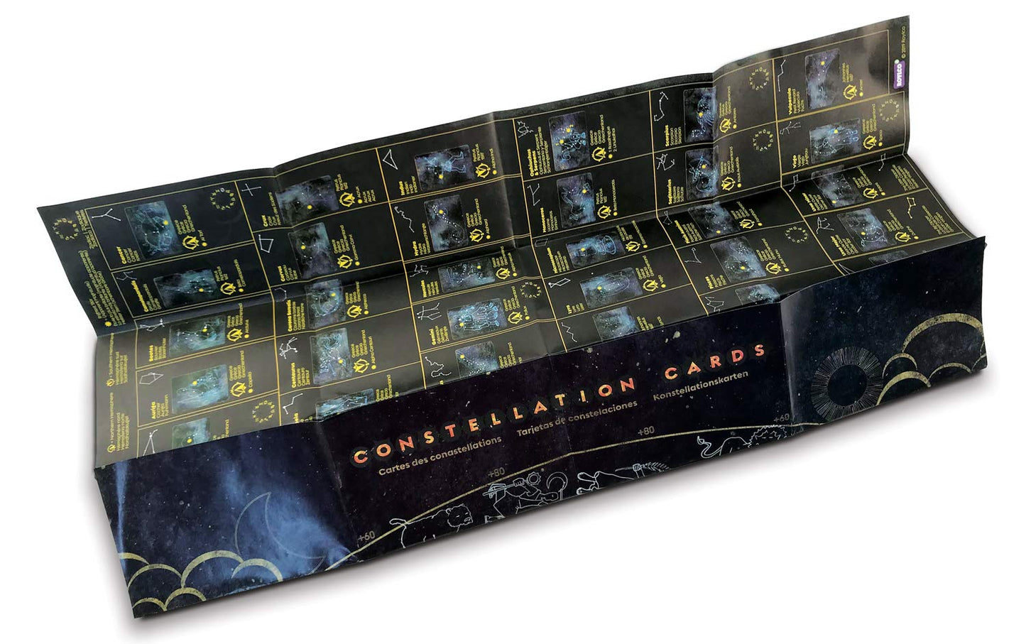 Roylco Astronomical Constellation Cards, Light Table Activity, STEM Educational Flashcards, Large and Easy to use, Sturdy, Water Resistant, Quality