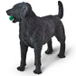 Safari Ltd. Black Labrador Retriever Figurine - Hand-Painted, Lifelike 3.75" Model Figure - Fun and Educational Toy for Boys, Girls & Kids Ages 3+