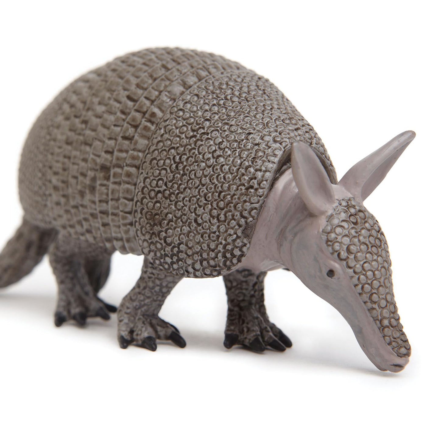 Safari Ltd. Armadillo Figurine - Detailed 6.75" Plastic Model Figure - Fun Educational Play Toy for Boys, Girls & Kids Ages 18M+