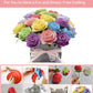BAZIMA ALICE DIY Felt Flower Art Craft Kit - Colorful Roses Pot Bonsai Kit, 20 Pre-Cut Felt Roses, Beginner Floral Gifts