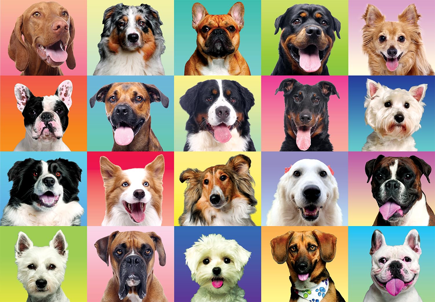 JOYIN 300 pcs Multicolor Dog Puzzles, Jigsaw Puzzle for Kids and Adults(27.6" x 19.7"), Puppy Theme Puzzles for Toddlers, Collection Gift Home Art