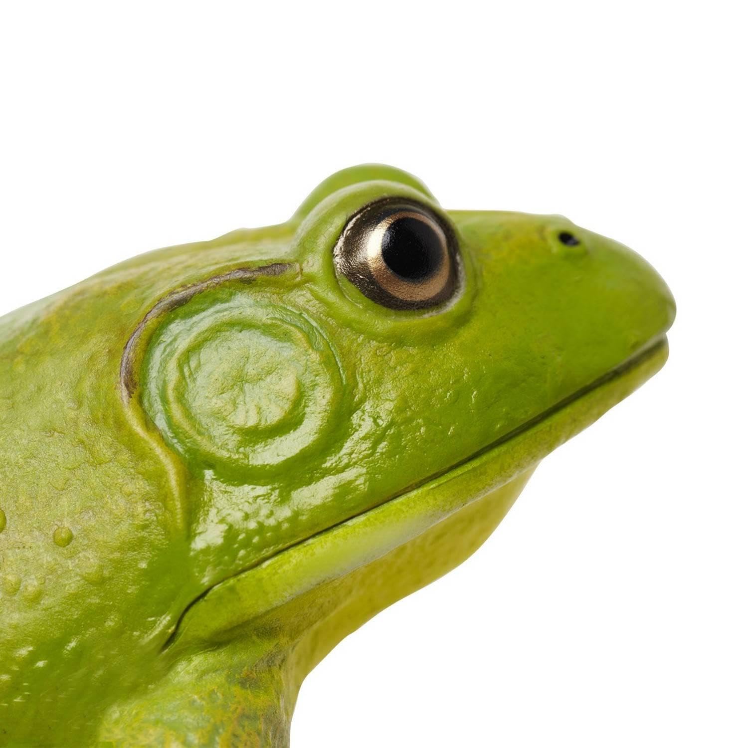 Safari Ltd. American Bullfrog Figurine - Realistic 4.75" Model Figure - Educational Toy for Boys, Girls, and Kids Ages 18M+