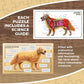 Dog Animal Anatomy Floor Puzzle | 100-Piece Double-Sided Jigsaw Puzzle | Large Floor Puzzle for Kids Ages 4-8, 3-5, 8-10 | Fun and Educational STEM