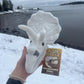 GIANT MICROBES Fuzzy Fossils Triceratops Stuffed Animal, Dinosaur Plush Toy, Triceratops Dinosaur Skull Decor, Paleontologist Gifts