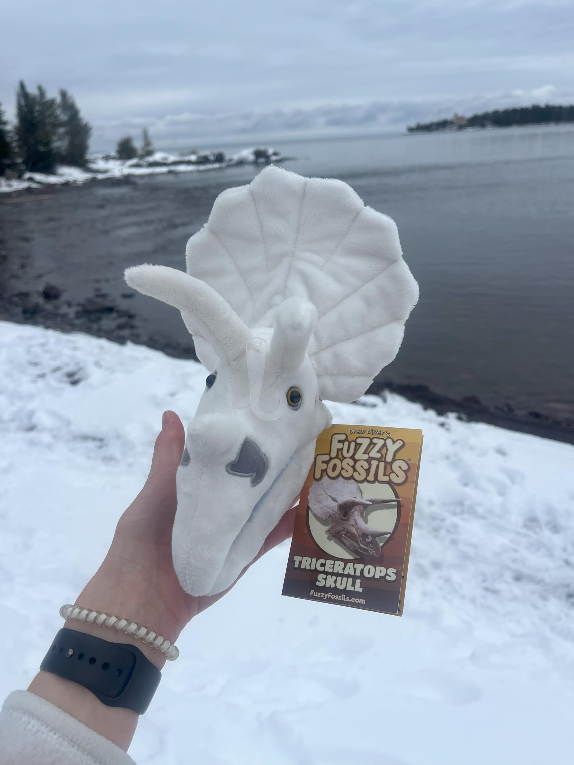 GIANT MICROBES Fuzzy Fossils Triceratops Stuffed Animal, Dinosaur Plush Toy, Triceratops Dinosaur Skull Decor, Paleontologist Gifts