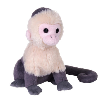 Wild Republic Splendors Eco White Faced Capuchin Stuffed Animal - 6"